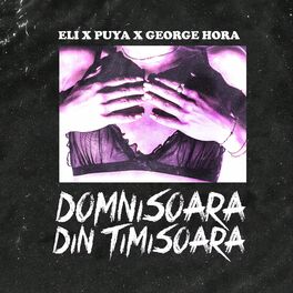 Album cover of Domnisoara Din Timisoara