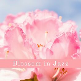 Album cover of Blossom In Jazz
