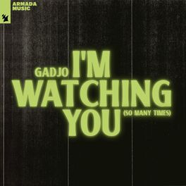 Album cover of I'm Watching You (So Many Times)