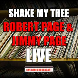 Album cover of Shake My Tree (Live)