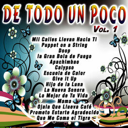 Album cover of De Todo un Poco Vol.1