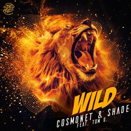 Album cover of Wild