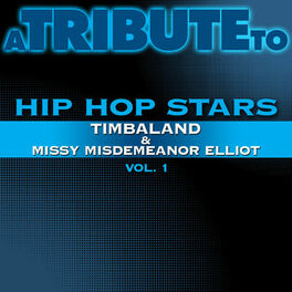 Album cover of A Tribute to Hip Hop Stars Timbaland & Missy Misdemeanor Elliot, Vol. 1