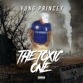 Album cover of The Toxic One