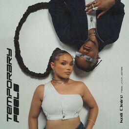 Album cover of Temporary Feels