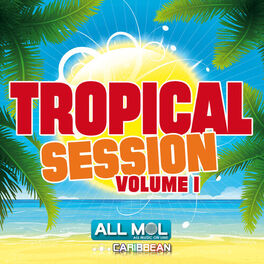 Album cover of Tropical Session Vol. 1 : Les Hits Zouk, Dancehall, Kizomba, Salsa et Reggaeton