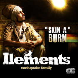 Album cover of Skin a burn
