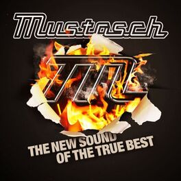 Album cover of The New Sound of the True Best