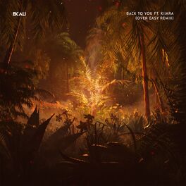 Album cover of Back To You (feat. Kiiara) (Over Easy Remix)