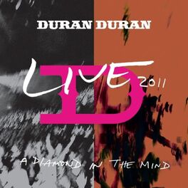Album cover of A Diamond in the Mind