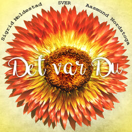 Album cover of Det var du (Bergteken)