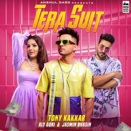Album cover of Tera Suit
