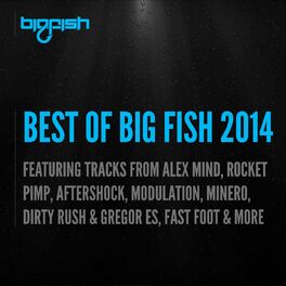 Album cover of Best of Big Fish 2014