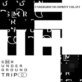 Album cover of UndergrounD TriP Vol.XVI
