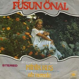 Album cover of Minik Kuş / Ah Nerede