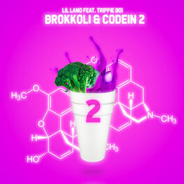 Album cover of Brokkoli + Codein 2.0