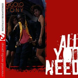 Album cover of All You Need
