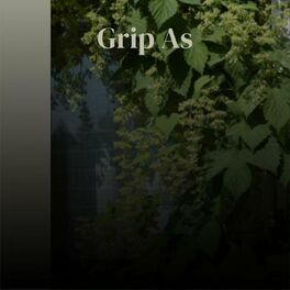 Album cover of Grip As