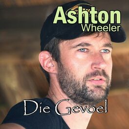 Album cover of Die Gevoel