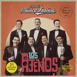 Album cover of Manual de Música Festiva