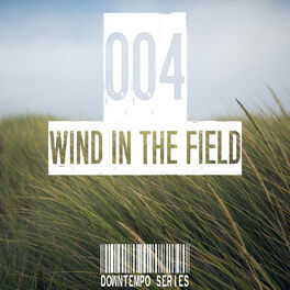 Album cover of Wind in the Field (Downtempo Series), Vol. 004