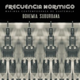 Album cover of Frecuencia Hormigo