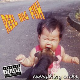 Album cover of Everything Sucks