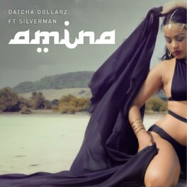 Album cover of Amina