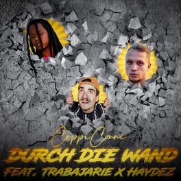 Album cover of Durch die Wand (feat. Trabajarie & Haydez)