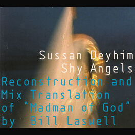 Album cover of Shy Angels