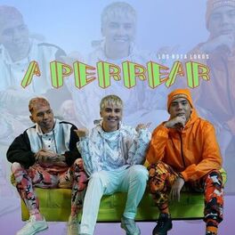 Album cover of A Perrear