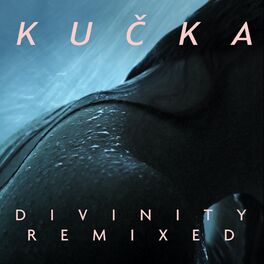 Album cover of Divinity Remixed