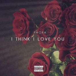Album picture of I Think I Love You