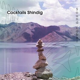 Album cover of Cocktails Shindig