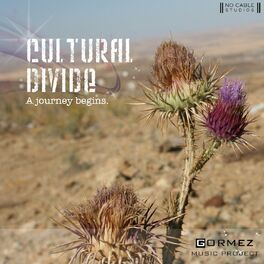 Album cover of Cultural Divide | 2010