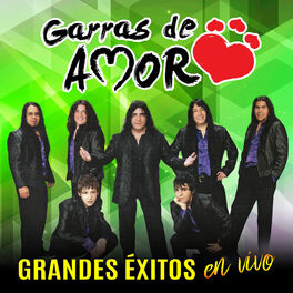 Album cover of Grandes Éxitos (En Vivo)