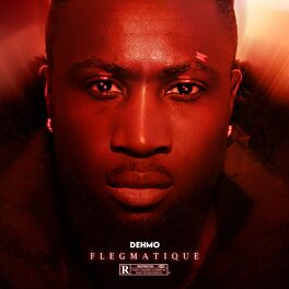 Album cover of FLEGMATIQUE