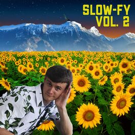 Album cover of Slow-Fy, Vol. 2