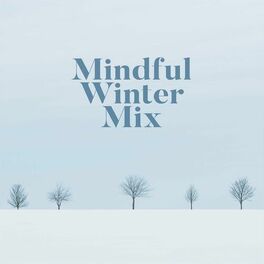Album cover of Mindful Winter Mix