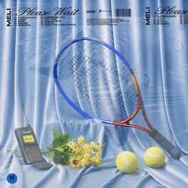 Album cover of Please Wait
