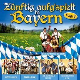 Album cover of Zünftig aufgspielt in Bayern