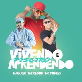 Album cover of Vivendo e Aprendendo (Piseiro)