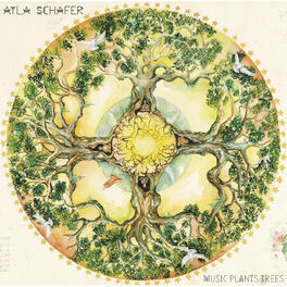 Album cover of Music Plants Trees