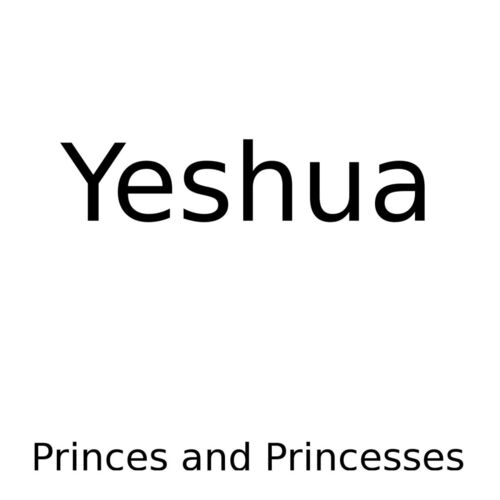 Перевод песни princesses