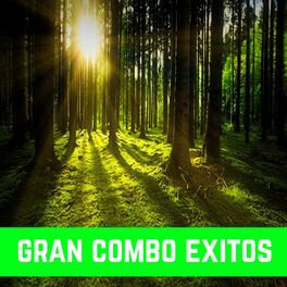 Album cover of Gran Combo Exitos