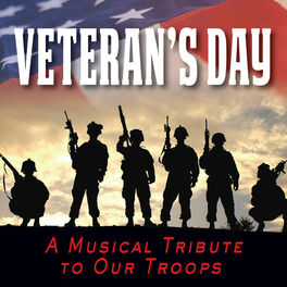 Album cover of Veteran's Day - A Musical Tribute to Our Troops