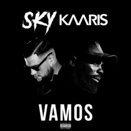 Album cover of Vamos