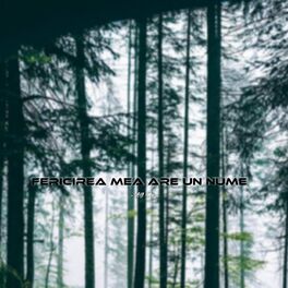 Album cover of Fericirea Mea Are Un Nume (Remix)