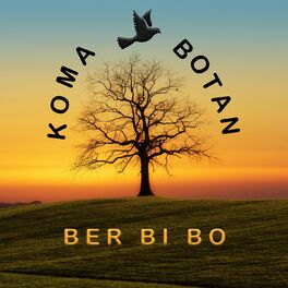 Album cover of Berbiro
