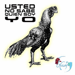 Album cover of Usted No Sabe Quien Soy Yo